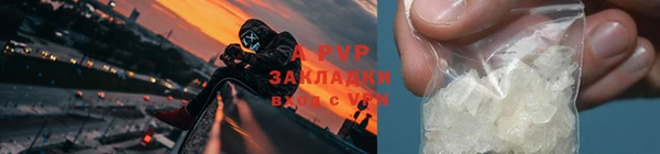 дживик Белокуриха